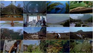 دانلود مستند Lost Worlds Life in the Balance 2001