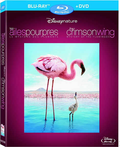 دانلود مستند اسرار فلامینگوها Mystery of the Flamingos 2008
