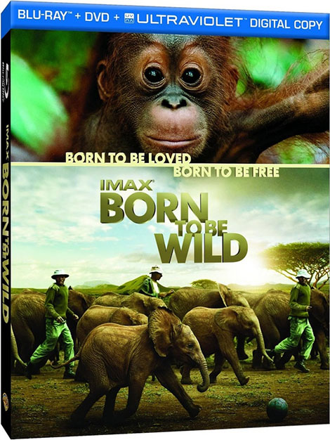 دانلود مستند متولد حیات وحش Born to Be Wild 2011 دانلود مستند متولد حیات وحش Born to Be Wild 2011