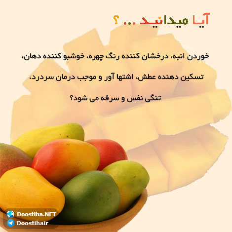 دانستنی های گیاهان دارویی, خواص داروهای گیاهی, آیا میدانید, طب سنتی, درمان گیاهی, فواید میوه ها, خواص درمانی حبوبات, گیاه درمانی, میوه درمانی, درمان های طبیعی