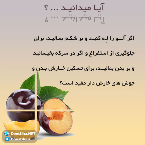 دانستنی های گیاهان دارویی, خواص داروهای گیاهی, آیا میدانید, طب سنتی, درمان گیاهی, فواید میوه ها, خواص درمانی حبوبات, گیاه درمانی, میوه درمانی, درمان های طبیعی