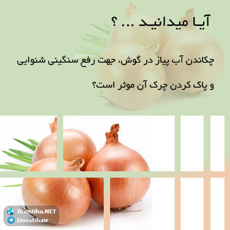 دانستنی های گیاهان دارویی, خواص داروهای گیاهی, آیا میدانید, طب سنتی, درمان گیاهی, فواید میوه ها, خواص درمانی حبوبات, گیاه درمانی, میوه درمانی, درمان های طبیعی