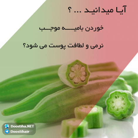 دانستنی های گیاهان دارویی, خواص داروهای گیاهی, آیا میدانید, طب سنتی, درمان گیاهی, فواید میوه ها, خواص درمانی حبوبات, گیاه درمانی, میوه درمانی, درمان های طبیعی