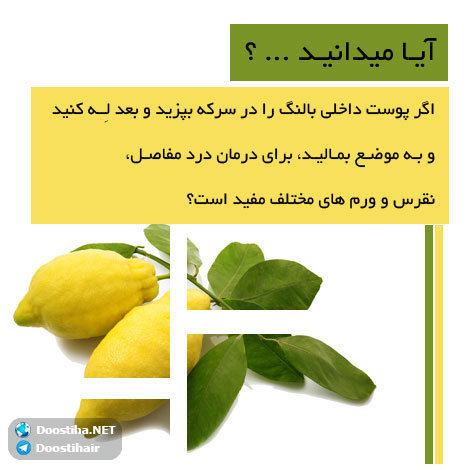 دانستنی های گیاهان دارویی, خواص داروهای گیاهی, آیا میدانید, طب سنتی, درمان گیاهی, فواید میوه ها, خواص درمانی حبوبات, گیاه درمانی, میوه درمانی, درمان های طبیعی