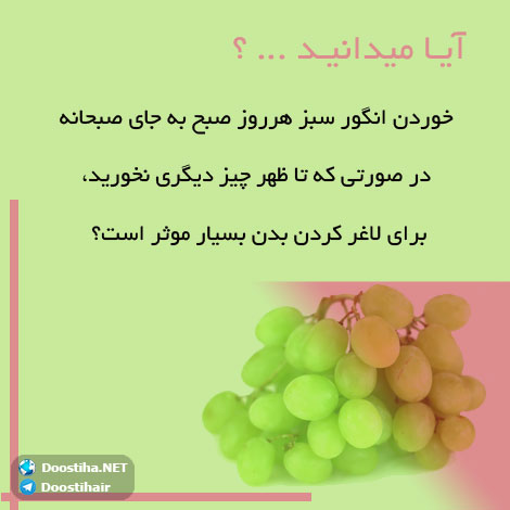 دانستنی های گیاهان دارویی, خواص داروهای گیاهی, آیا میدانید, طب سنتی, درمان گیاهی, فواید میوه ها, خواص درمانی حبوبات, گیاه درمانی, میوه درمانی, درمان های طبیعی