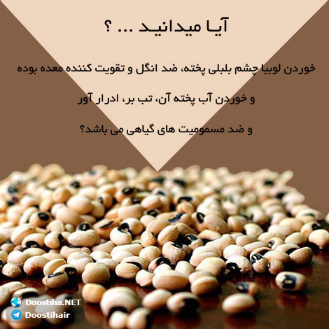 دانستنی های گیاهان دارویی, خواص داروهای گیاهی, آیا میدانید, طب سنتی, درمان گیاهی, فواید میوه ها, خواص درمانی حبوبات, گیاه درمانی, میوه درمانی, درمان های طبیعی