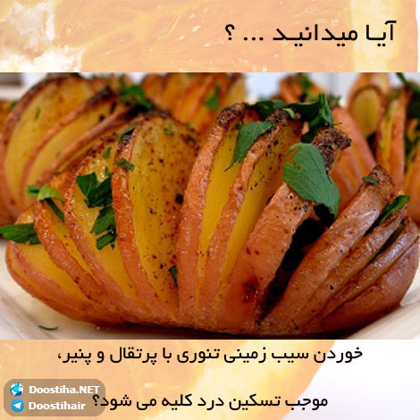 دانستنی های آموزنده از گیاهان دارویی و درمانی (سری 7) دانستنی های گیاهان دارویی, خواص داروهای گیاهی, آیا میدانید, طب سنتی, درمان گیاهی, فواید میوه ها, خواص درمانی حبوبات, گیاه درمانی, میوه درمانی, درمان های طبیعی