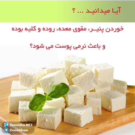 دانستنی های آموزنده از گیاهان دارویی و درمانی (سری 7) دانستنی های گیاهان دارویی, خواص داروهای گیاهی, آیا میدانید, طب سنتی, درمان گیاهی, فواید میوه ها, خواص درمانی حبوبات, گیاه درمانی, میوه درمانی, درمان های طبیعی