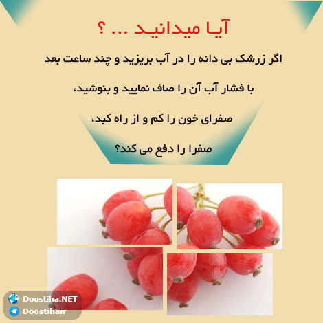 دانستنی های آموزنده از گیاهان دارویی و درمانی (سری 7) دانستنی های گیاهان دارویی, خواص داروهای گیاهی, آیا میدانید, طب سنتی, درمان گیاهی, فواید میوه ها, خواص درمانی حبوبات, گیاه درمانی, میوه درمانی, درمان های طبیعی