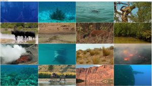 دانلود مستند Our Earth Our Oceans 2016