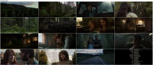 دانلود فیلم اژدهای پیت Pete's Dragon 2016