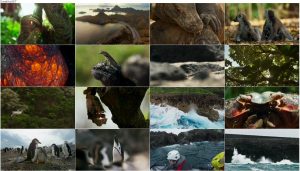 دانلود قسمت اول فصل دوم مستند سیاره زمین Planet Earth 2 2016 S02-E01
