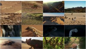 دانلود قسمت چهارم فصل دوم مستند سیاره زمین Planet Earth 2 2016 S02-E04