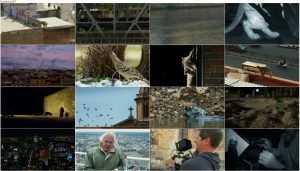 دانلود قسمت ششم فصل دوم مستند سیاره زمین Planet Earth 2 2016 S02-E06