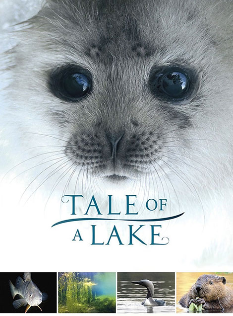 دانلود مستند داستان یک دریاچه Tale of a Lake 2016