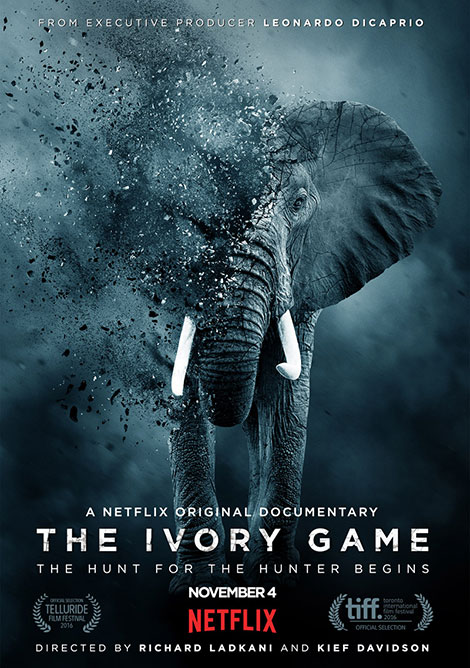 دانلود مستند بازی عاج The Ivory Game 2016