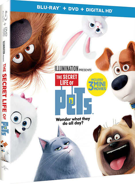 دانلود انیمیشن The Secret Life of Pets 2016 BluRay