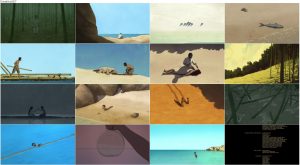 دانلود انیمیشن لاک پشت قرمز The Red Turtle 2016