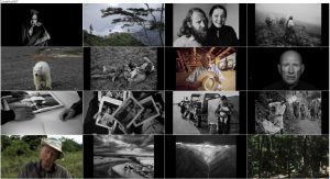 دانلود مستند نمک زمین The Salt of the Earth 2014