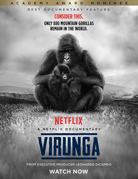 دانلود دوبله فارسی مستند ویرونگا Virunga 2014
