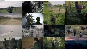 دانلود دوبله فارسی مستند ویرونگا Virunga 2014 دانلود دوبله فارسی مستند ویرونگا Virunga 2014