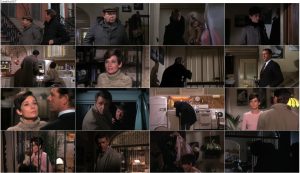 دانلود دوبله فارسی فیلم Wait Until Dark 1967