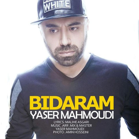 دانلود آهنگ جدید یاسر محمودی به نام بیدارم دانلود آهنگ جدید یاسر محمودی به نام بیدارم