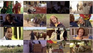 دانلود فیلم اسب به کارگردانی بابک محمدی