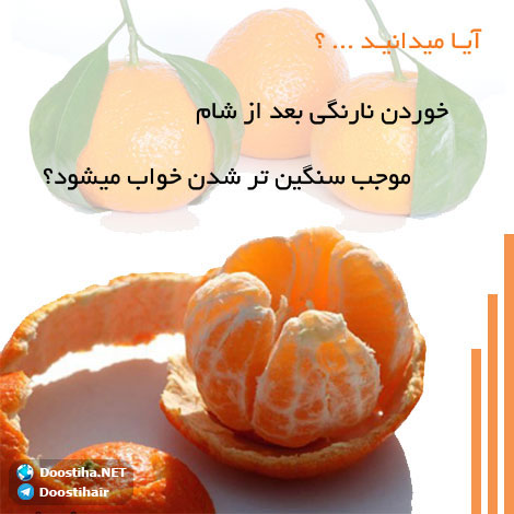 دانستنی های آموزنده از گیاهان دارویی و درمانی (سری 8) دانستنی های گیاهان دارویی, خواص داروهای گیاهی, آیا میدانید, طب سنتی, درمان گیاهی, فواید میوه ها, خواص درمانی حبوبات, گیاه درمانی, میوه درمانی, درمان های طبیعی