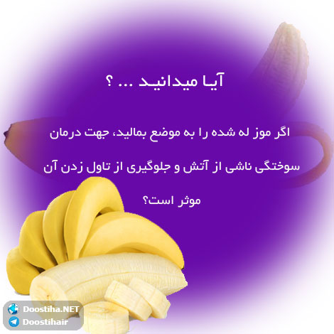 دانستنی های آموزنده از گیاهان دارویی و درمانی (سری 8) دانستنی های گیاهان دارویی, خواص داروهای گیاهی, آیا میدانید, طب سنتی, درمان گیاهی, فواید میوه ها, خواص درمانی حبوبات, گیاه درمانی, میوه درمانی, درمان های طبیعی