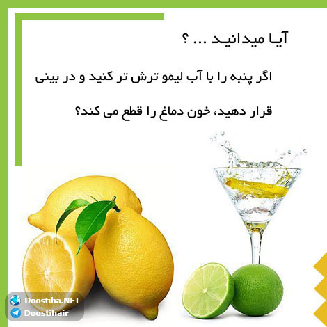 دانستنی های آموزنده از گیاهان دارویی و درمانی (سری 8) دانستنی های گیاهان دارویی, خواص داروهای گیاهی, آیا میدانید, طب سنتی, درمان گیاهی, فواید میوه ها, خواص درمانی حبوبات, گیاه درمانی, میوه درمانی, درمان های طبیعی