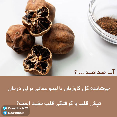 دانستنی های آموزنده از گیاهان دارویی و درمانی (سری 8) دانستنی های گیاهان دارویی, خواص داروهای گیاهی, آیا میدانید, طب سنتی, درمان گیاهی, فواید میوه ها, خواص درمانی حبوبات, گیاه درمانی, میوه درمانی, درمان های طبیعی