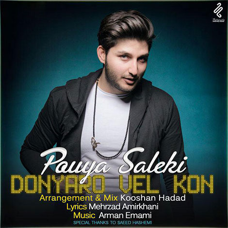 دانلود آهنگ جدید پویا سالکی به نام دنیا رو ول کن