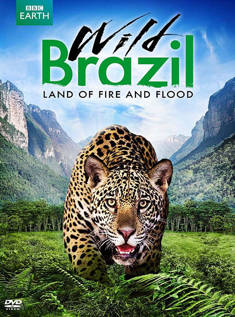 دانلود مستند حیات وحش برزیل BBC Earth: Wild Brazil 2014 دانلود مستند حیات وحش برزیل BBC Earth: Wild Brazil 2014