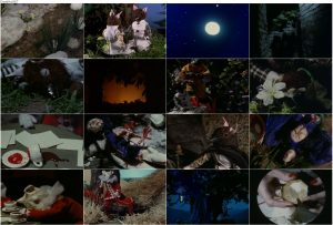 دانلود انیمیشن Blood Tea and Red String 2006