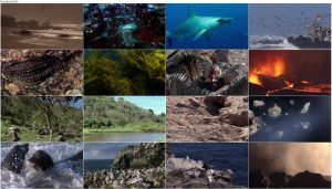 دانلود قسمت اول مستند گالاپاگوس Galapagos 2006