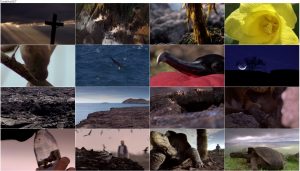دانلود قسمت دوم مستند گالاپاگوس Galapagos 2006