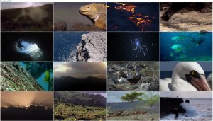 دانلود قسمت سوم مستند گالاپاگوس Galapagos 2006