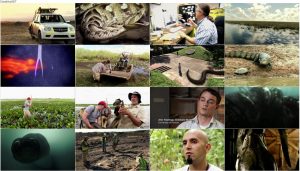 دانلود مستند تیتانوبوآ Titanoboa: Monster Snake 2012