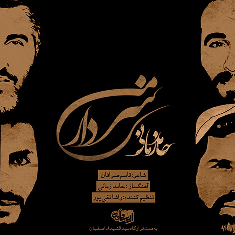 دانلود آهنگ جدید حامد زمانی به نام سردار من