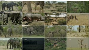 دانلود مستند غول کوچک Little Giant 2016