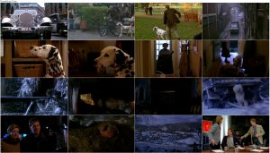 دانلود فیلم 101 سگ خالدار 101 Dalmatians 1996