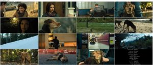 دانلود دوبله فارسی فیلم مسیر بازگشت یک سگ به خانه A Dog's Way Home 2019