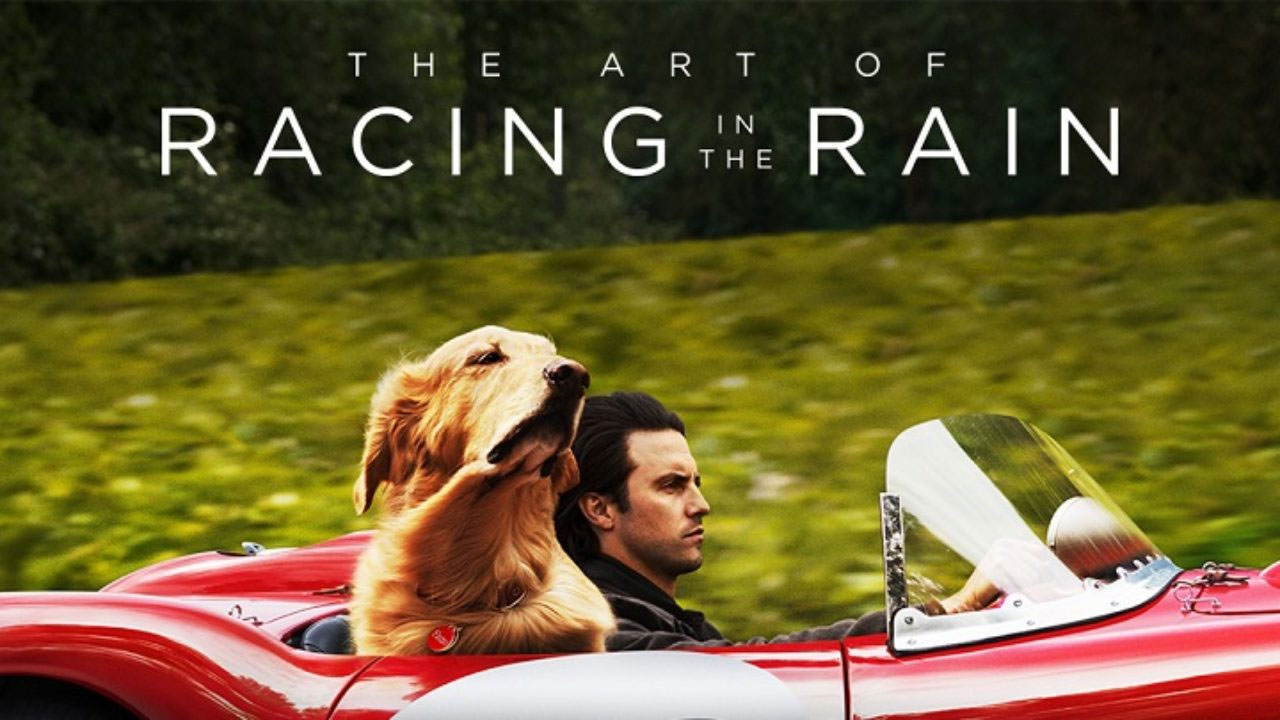 2019 The Art Of Racing In The Rain