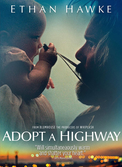 دانلود دوبله فارسی فیلم یک بزرگراه را تمیز کن Adopt a Highway 2019