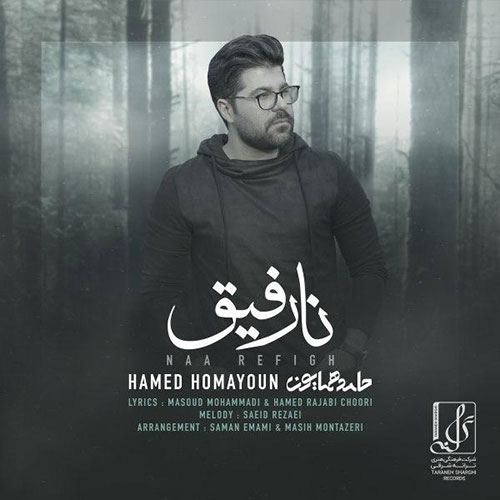 دانلود آهنگ جدید حامد همایون به نام نارفیق Hamed Homayoun