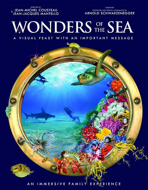 دانلود مستند شگفتی های دریا Wonders of the Sea 2017