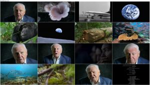 دانلود دوبله فارسی مستند David Attenborough: A Life On Our Planet 2020