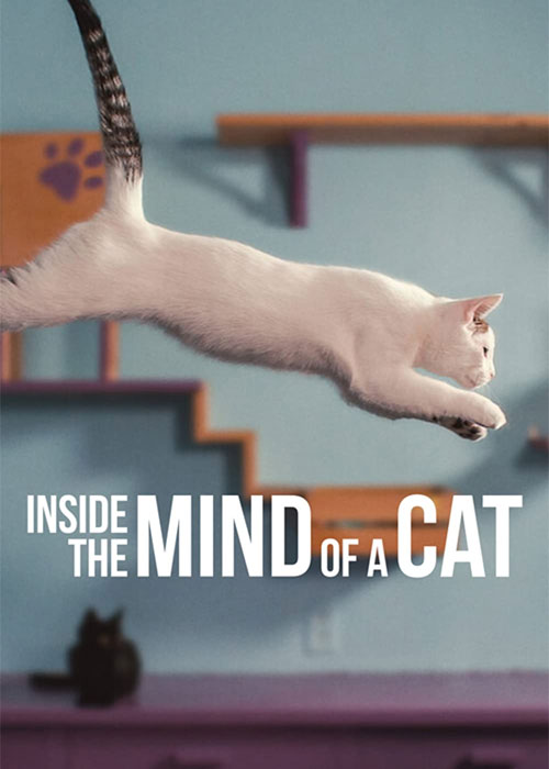 مستند درون ذهن یک گربه Inside the Mind of a Cat 2022