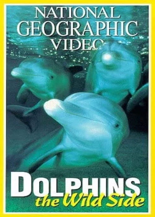 مستند دلفین های وحشی Dolphins: The Wild Side 1999